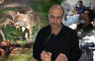 ازمة سلطة ... وسلطة اﻻزمة ...